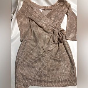 NWT ls dress